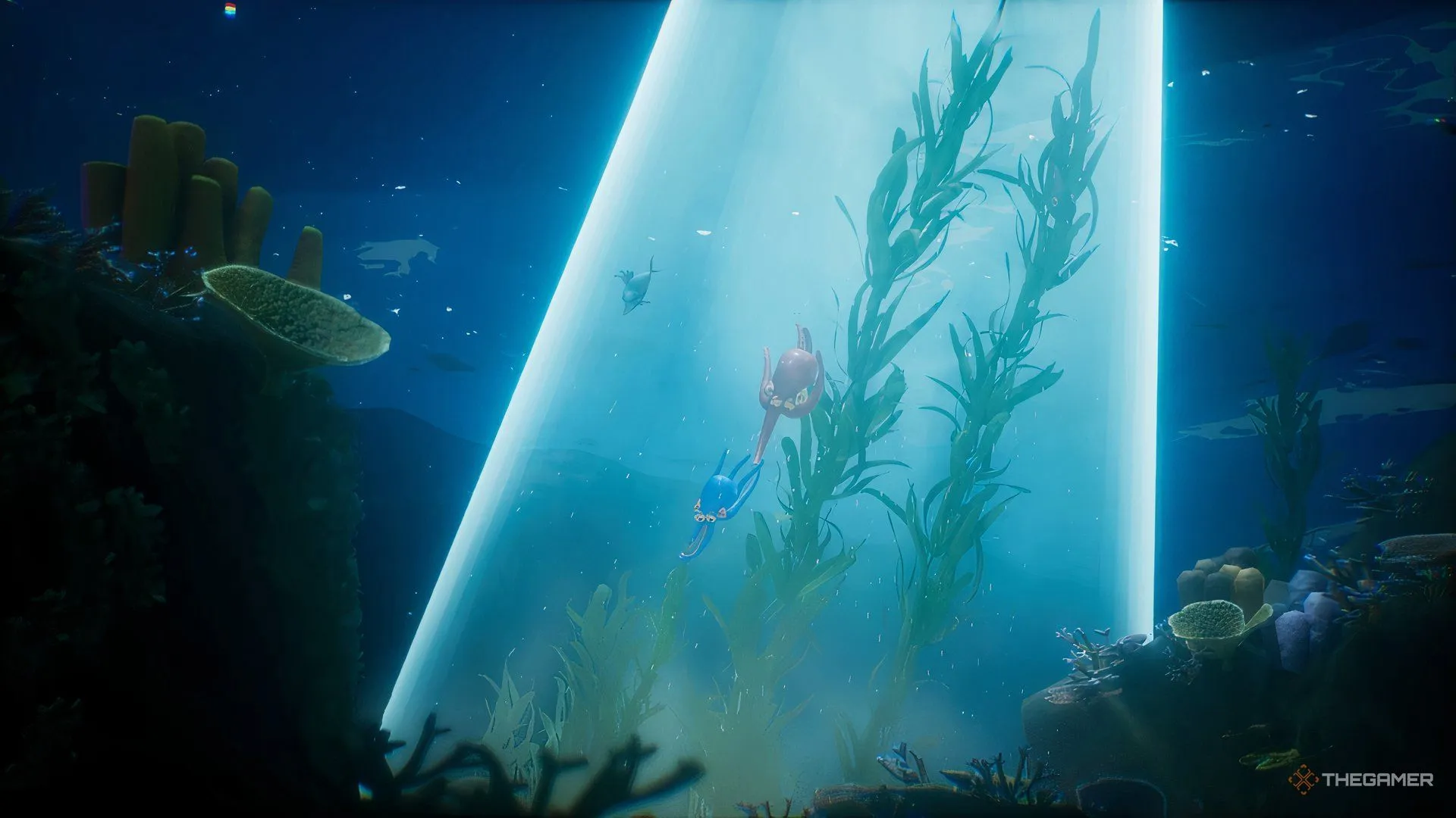 奥斯卡回忆,心脏停跳两,分钟,BET365体育官网,体育赛事,在线投注,娱乐平台,体育博彩,网站入口